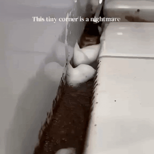 Multi-Purpose Gap Cleaning Brush