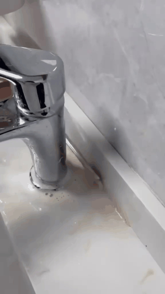 Multi-Purpose Gap Cleaning Brush